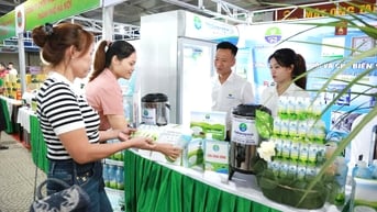 Thúc đẩy liên kết chuỗi trong sản xuất, tiêu thụ sản phẩm OCOP