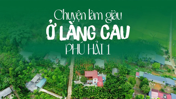 Chuyện làm giàu ở làng cau Phú Hải 1