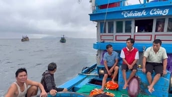 11 ngư dân thoát chết trong gang tấc khi tàu cá bị chìm ngoài khơi Lý Sơn