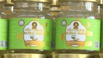 Hơn 23.000 lọ yến chưng giả bị phát hiện ở Phú Thọ, chuyển công an điều tra