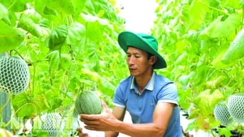 Báo chí góp phần lan tỏa và nhân rộng các mô hình phát triển kinh tế