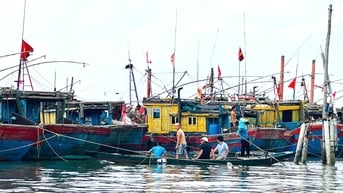 TP. Đồng Hới: Sản lượng khai thác thủy sản tăng trưởng khá