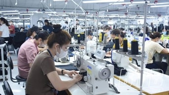 Vũ Thư: Thu ngân sách nhà nước 6 tháng đầu năm 2025 ước đạt trên 1.259 tỷ đồng