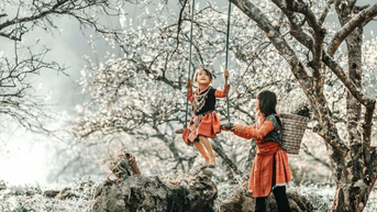 Top 7 địa điểm ngắm hoa miền Bắc nổi tiếng nhất