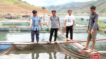 Bảo vệ khu vực nuôi thủy sản mùa mưa lũ