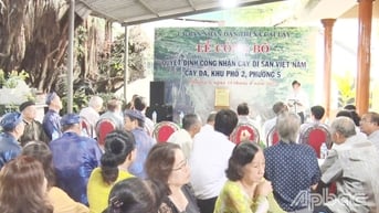 TX. Cai Lậy: Đón nhận Bằng công nhận Cây Di sản Việt Nam
