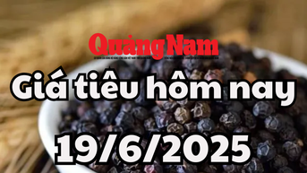 Cập nhật giá tiêu hôm nay 19/6/2025 mới nhất: Giá tiêu trong nước đỏ lửa