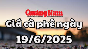 Giá cà phê hôm nay 19/6/2025 ở trong nước mất mốc 110.000 đồng/kg