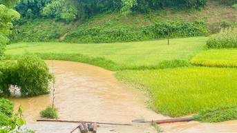 Mưa lớn gây sạt lở, ảnh hưởng tới 57 hộ dân ở Bắc Kạn