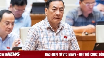 ĐBQH nói nhiều trường chạy đua vơ vét thí sinh, Bộ trưởng GD&ĐT xin 'dẫn chứng'