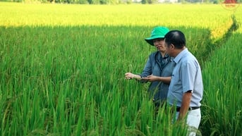 Thúc đẩy phát triển nông nghiệp tuần hoàn