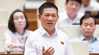 Phó thủ tướng Hồ Đức Phớc: Hộ kinh doanh có doanh thu dưới 1 tỉ đồng nên thu thuế khoán