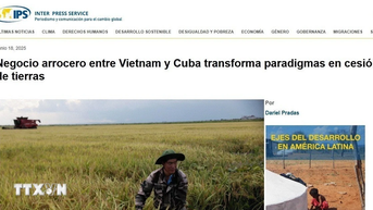 Truyền thông quốc tế nhấn mạnh mô hình hợp tác độc đáo Việt Nam-Cuba về lúa gạo