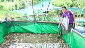 Tiếp sức cho hội viên, nông dân phát triển kinh tế