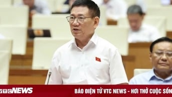 Phó Thủ tướng: Nên giữ thuế khoán cho hộ kinh doanh dưới 1 tỷ đồng