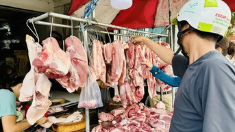 Giá heo hơi hôm nay 19/6: Ngừng đà giảm