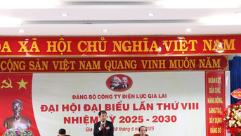 Điện lực Gia Lai phấn đấu hàng năm 100% chi bộ trực thuộc đạt "Chi bộ 4 tốt"