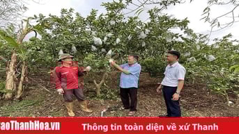Phát huy vai trò của MTTQ trong xây dựng nông thôn mới