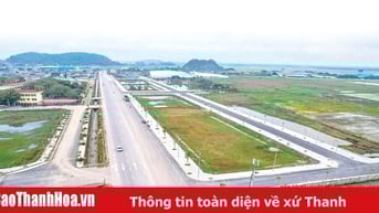 Đất đấu giá tăng cao: Nhu cầu thị trường hay “cò” thổi giá”?
