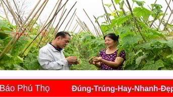 Nông dân Thanh Sơn thi đua sản xuất, kinh doanh giỏi