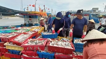 Thua lỗ và thiếu lao động, tàu cá nằm bờ