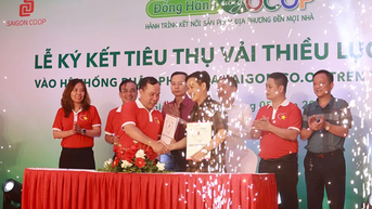 Saigon Co.op ký kết tiêu thụ vải thiều Lục Ngạn tại hơn 800 điểm bán