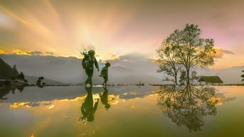 Ruộng bậc thang Y Tý mùa nước đổ lấp loáng đẹp như tranh