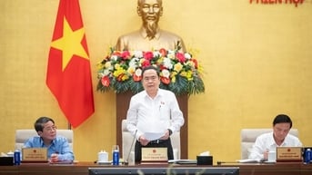 Xem xét sáp nhập tỉnh thành, bãi bỏ thu nhập đặc thù của cơ quan nhà nước