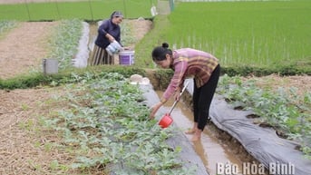 Đảng bộ xã Vạn Mai lãnh đạo nhân dân phát triển kinh tế