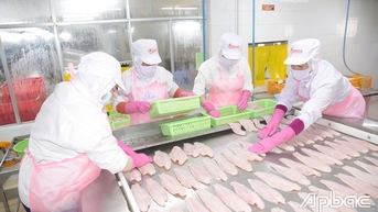 Tiền Giang đẩy mạnh phát triển kinh tế tư nhân