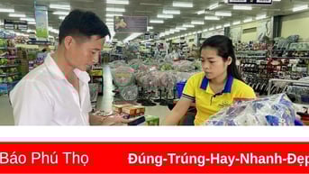 Tận dụng lợi thế phát triển thương mại - dịch vụ
