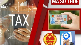 Sử dụng số định danh cá nhân thay cho mã số thuế từ 01/7/2025: Lưu ý với người nộp thuế