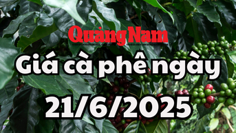 Tin tức, dự báo giá cà phê ngày mai 21/6/2025 khó để tạo đột biến mới