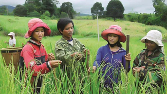 Hợp nhất chương trình nông thôn mới và giảm nghèo bền vững
