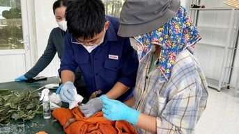 Tiếp nhận, cứu hộ 2 cá thể động vật hoang dã quý hiếm