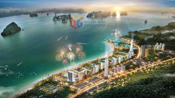 Tập đoàn CEO đưa đón khách trải nghiệm Sonasea Vân Đồn bằng xe buýt miễn phí