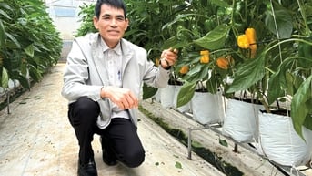 Đưa nông sản vượt đại dương