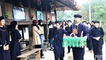 Sức sống một phong trào lớn
