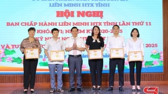 Phát huy vai trò của kình tế tập thể đổi mới, sáng tạo