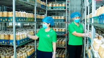 Dám nghĩ, dám làm tạo nên kỳ tích