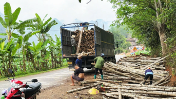 Chương trình phát triển lâm nghiệp bền vững tỉnh Bắc Kạn - Kỳ 1: Hiệu quả thiết thực từ chương trình