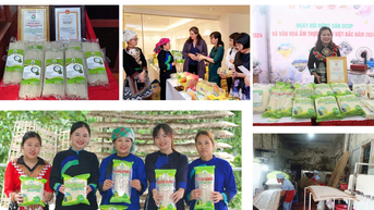 Gương sáng trong sản xuất, kinh doanh nông sản an toàn