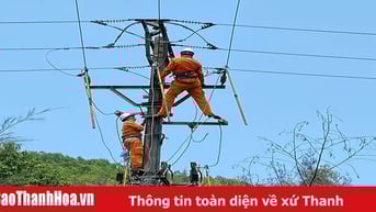 Đảm bảo cung cấp điện an toàn, liên tục, ổn định cho khu kinh tế trọng điểm Nghi Sơn