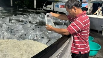 Giá tôm thẻ chân trắng giảm hơn 50 ngàn đồng/kg