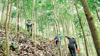 Đẩy nhanh giải phóng mặt bằng tuyến đường sắt Lào Cai-Hà Nội-Hải Phòng