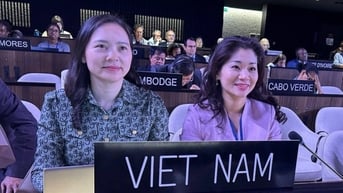 Việt Nam lần thứ ba trúng cử thành viên Ủy ban liên chính phủ Công ước UNESCO 2005