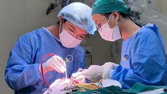 Khối u não to như quả quýt được phát hiện sau khi bị tai nạn giao thông