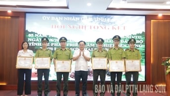 Tổng kết 5 năm thực hiện Nghị quyết 30 về phát triển lâm nghiệp bền vững