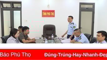 Xác định hơn 23.000 sản phẩm yến chưng là hàng giả