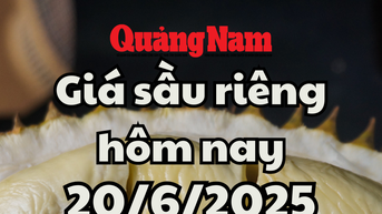 Giá sầu riêng hôm nay 20/6/2025: Sầu Thái tăng nhẹ ở Đông Nam Bộ